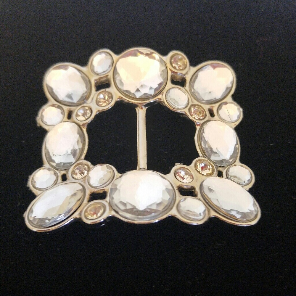 💎 DAZZLING Belt Buckle! 💎